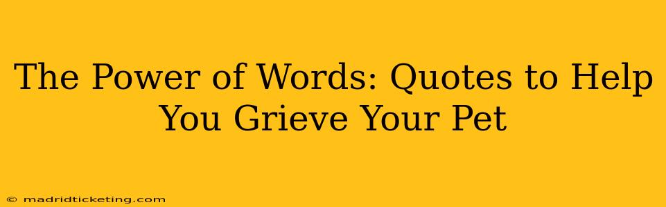 The Power of Words: Quotes to Help You Grieve Your Pet