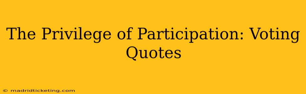 The Privilege of Participation: Voting Quotes