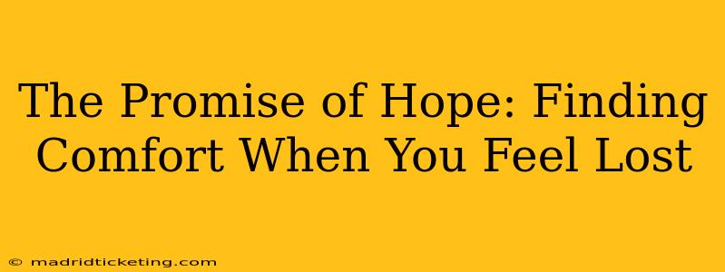 The Promise of Hope: Finding Comfort When You Feel Lost