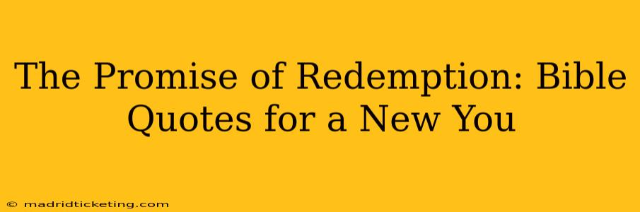 The Promise of Redemption: Bible Quotes for a New You