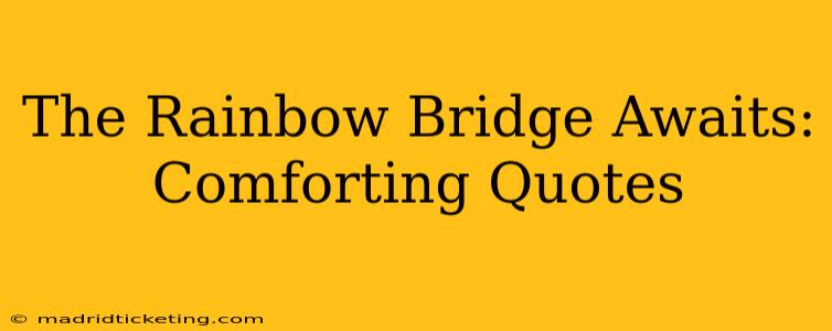 The Rainbow Bridge Awaits: Comforting Quotes