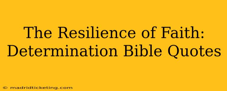 The Resilience of Faith: Determination Bible Quotes