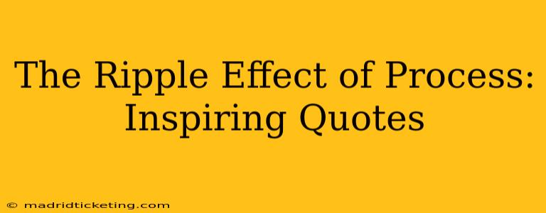 The Ripple Effect of Process: Inspiring Quotes
