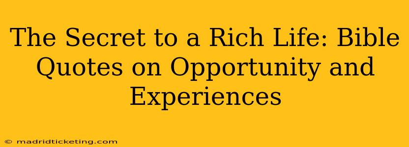 The Secret to a Rich Life: Bible Quotes on Opportunity and Experiences