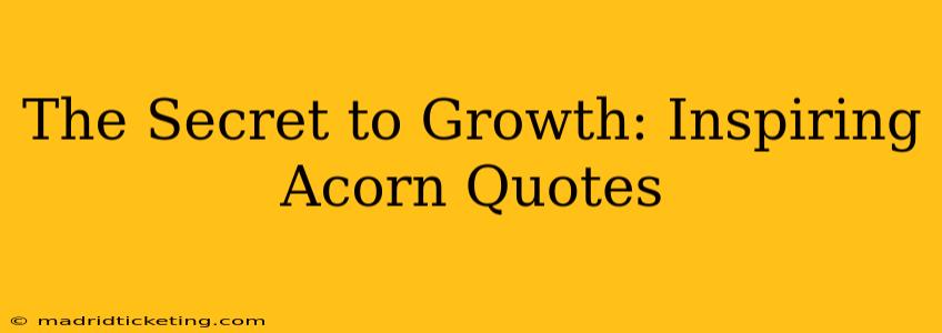 The Secret to Growth: Inspiring Acorn Quotes