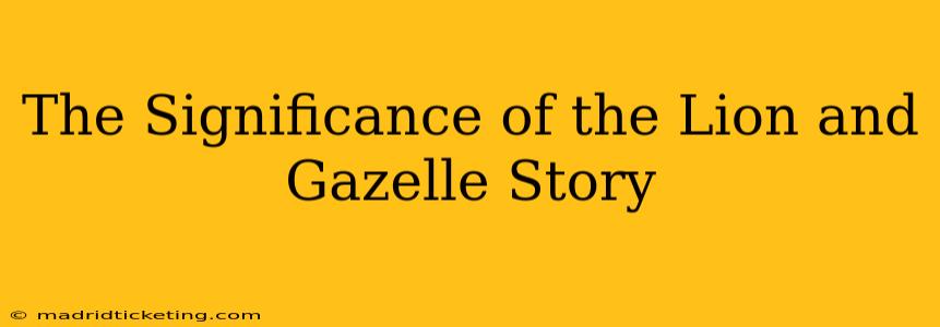 The Significance of the Lion and Gazelle Story