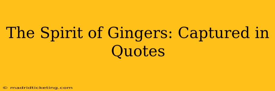 The Spirit of Gingers: Captured in Quotes