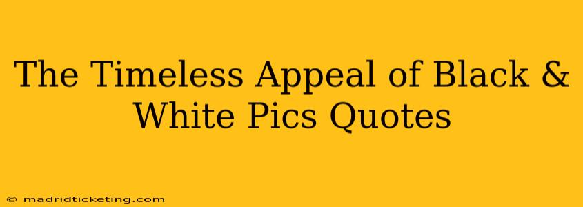 The Timeless Appeal of Black & White Pics Quotes