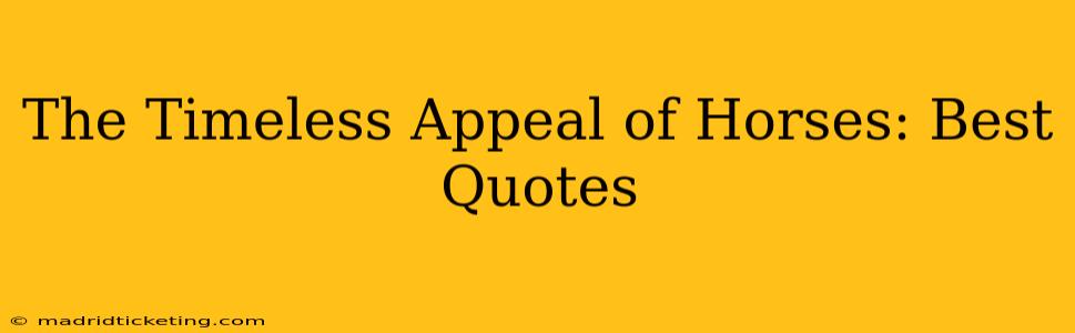 The Timeless Appeal of Horses: Best Quotes