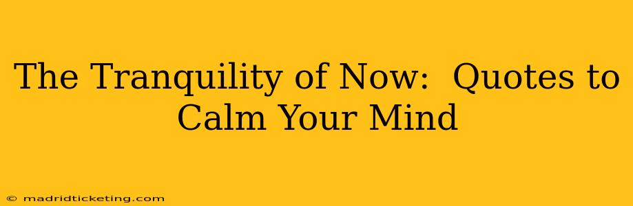 The Tranquility of Now:  Quotes to Calm Your Mind