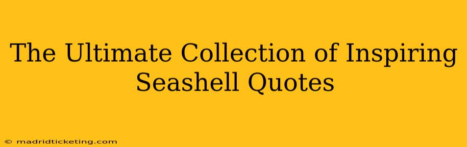 The Ultimate Collection of Inspiring Seashell Quotes