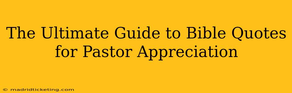 The Ultimate Guide to Bible Quotes for Pastor Appreciation