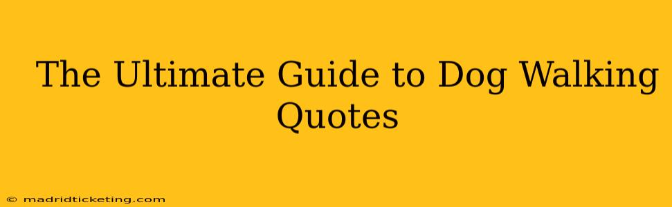  The Ultimate Guide to Dog Walking Quotes