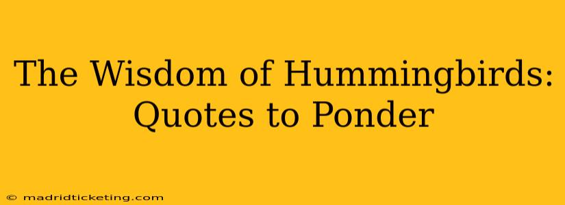 The Wisdom of Hummingbirds: Quotes to Ponder