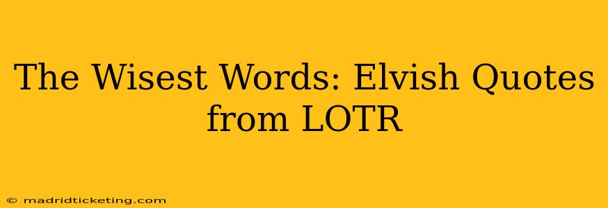 The Wisest Words: Elvish Quotes from LOTR