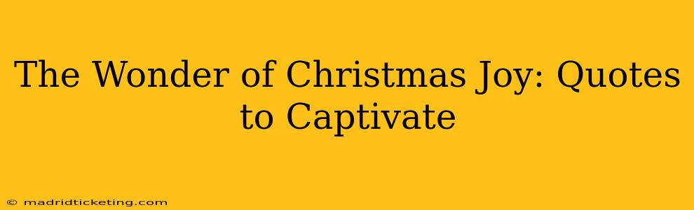 The Wonder of Christmas Joy: Quotes to Captivate