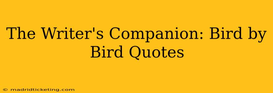 The Writer's Companion: Bird by Bird Quotes