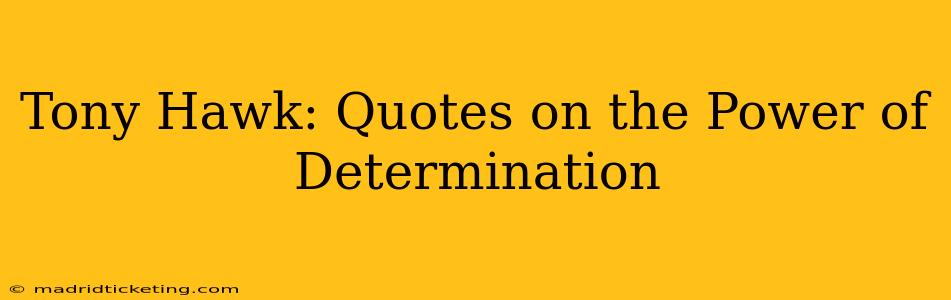 Tony Hawk: Quotes on the Power of Determination