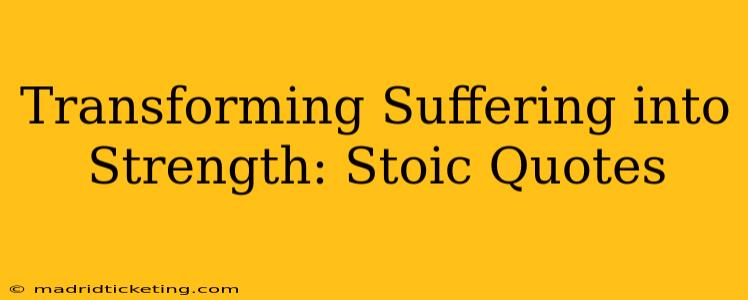 Transforming Suffering into Strength: Stoic Quotes