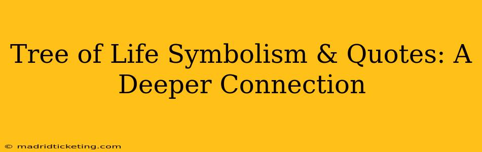 Tree of Life Symbolism & Quotes: A Deeper Connection