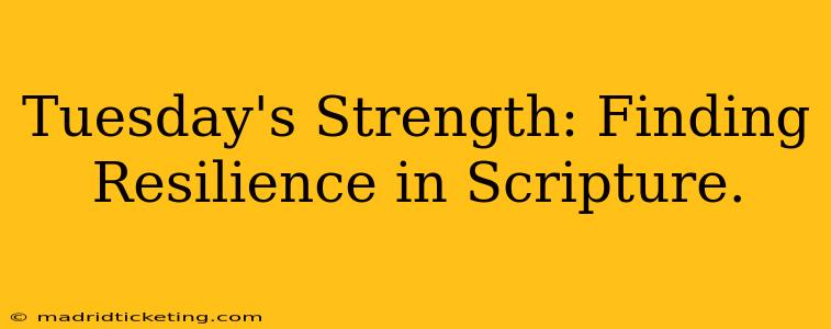 Tuesday's Strength: Finding Resilience in Scripture.