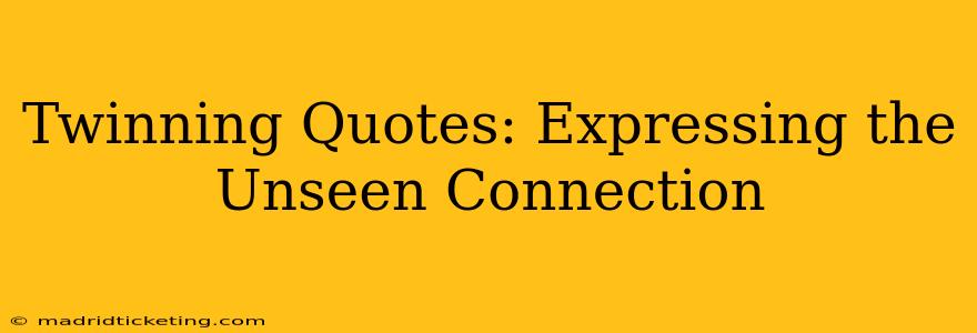 Twinning Quotes: Expressing the Unseen Connection