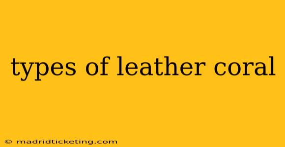 types of leather coral