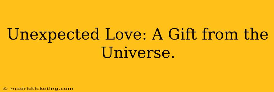 Unexpected Love: A Gift from the Universe.