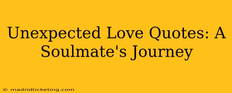 Unexpected Love Quotes: A Soulmate's Journey