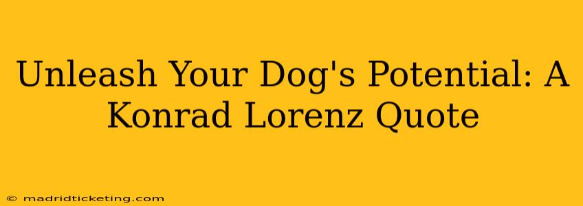Unleash Your Dog's Potential: A Konrad Lorenz Quote