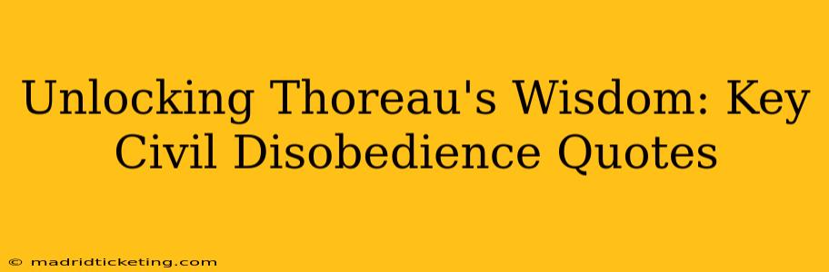 Unlocking Thoreau's Wisdom: Key Civil Disobedience Quotes