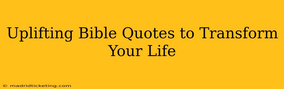 Uplifting Bible Quotes to Transform Your Life