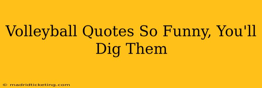 Volleyball Quotes So Funny, You'll Dig Them