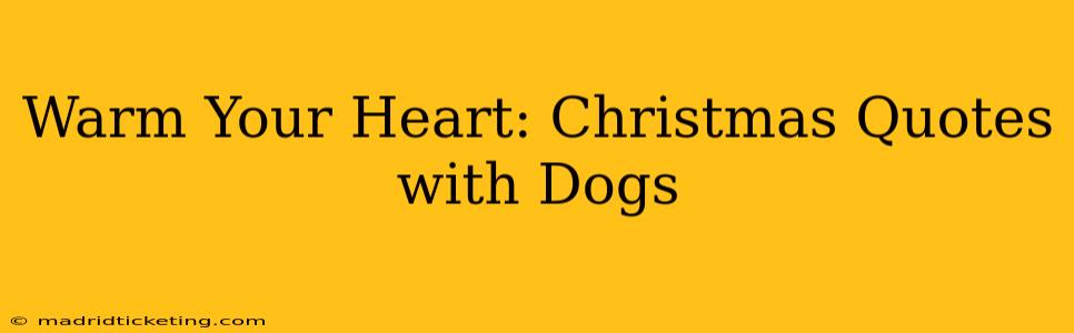 Warm Your Heart: Christmas Quotes with Dogs