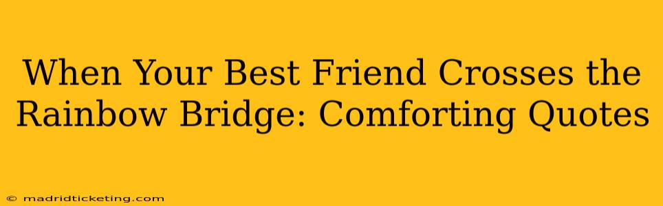 When Your Best Friend Crosses the Rainbow Bridge: Comforting Quotes