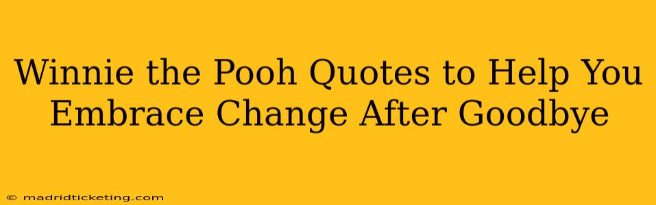 Winnie the Pooh Quotes to Help You Embrace Change After Goodbye