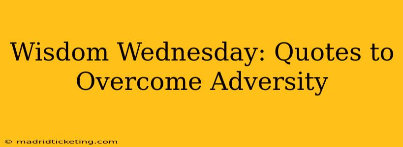 Wisdom Wednesday: Quotes to Overcome Adversity