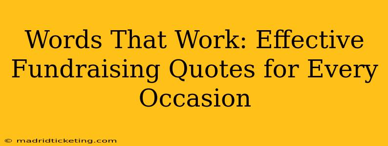 Words That Work: Effective Fundraising Quotes for Every Occasion