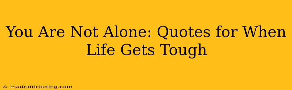 You Are Not Alone: Quotes for When Life Gets Tough