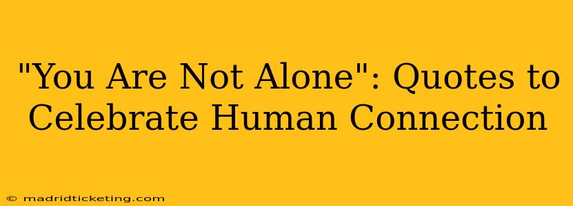 "You Are Not Alone": Quotes to Celebrate Human Connection