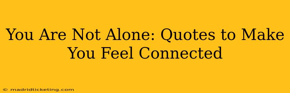 You Are Not Alone: Quotes to Make You Feel Connected